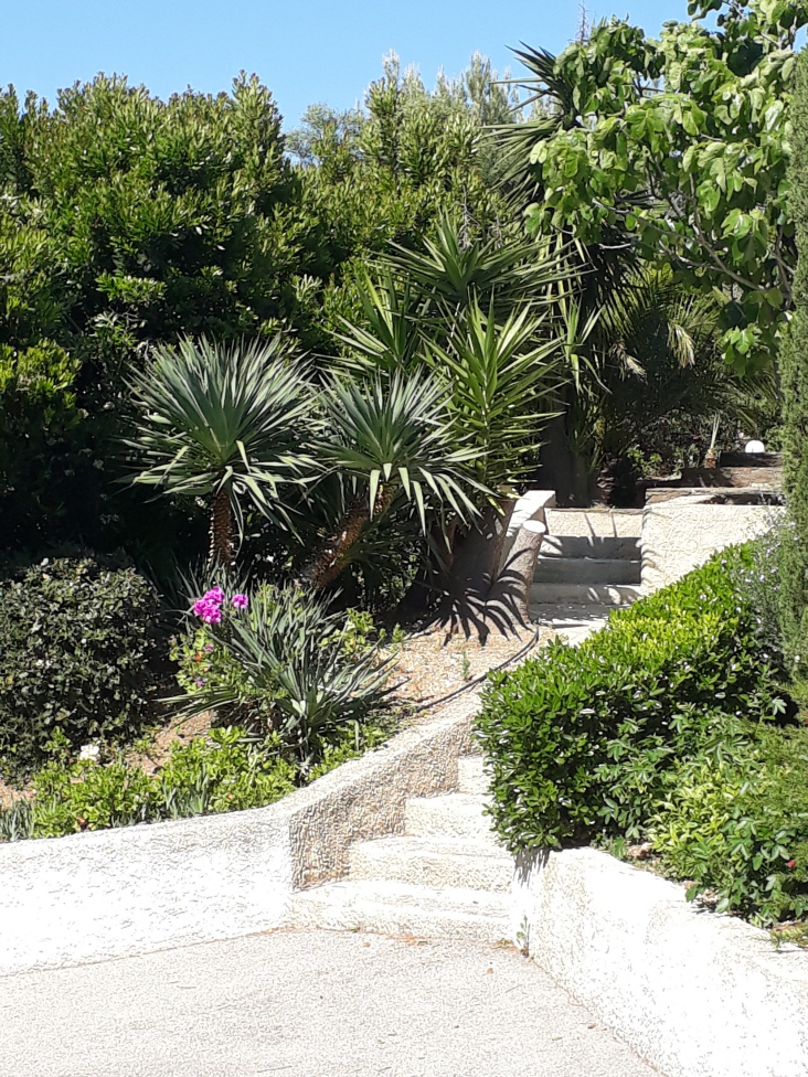 Gartenanlage